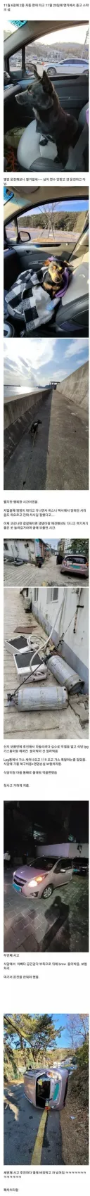 면허 따고 2주만에 경차 산 사람의 최후