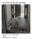 우리집 최고인 점