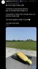 경마) 홋카이도에서 생산한 말딸 원본마 관련 굿즈