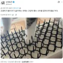 고양이 퇴치 가시 설치 후기.jpg