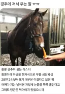 경주에서 져서 우는 말 ㅜㅜ.jpg