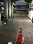 개새ㄲㅣ가 일부러 배변패드 옆에 싸는데 어떻게 할까요?