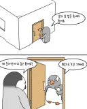 "남의 집 밥을 축내러 온 펭귄"