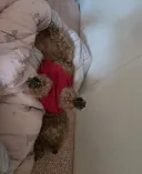 산책 3시간 후기