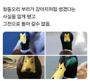 한번 의식하면 원래대로 돌아갈 수 없는 청둥오리의 비밀