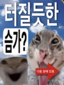 터질듯한 슴가 빨리 들어오셈