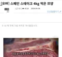 루리웹 AI야... 대체 이걸 왜 가린 거니...?