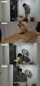 서강준 얼굴 구경(?)하는 정재형