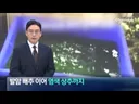 배추에 이어 염색상추 ㄷ ㄷ