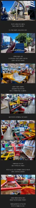 부산 자갈치시장에서 유튜버가 겪은 황당한 일들