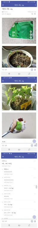디씨 식물겔의 정체.jpg