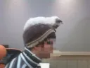 우리 16살 고양이들 리즈시절부터 현재