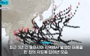 개쩌는 코리아 패싱
