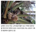 끔찍한 동물학대의 현장.jpg