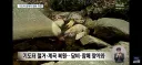 한국 괴담? 산에 있는 무당의 기도터를 강제로 치웠다. 그리고...