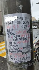 비둘기맘과의 전쟁을 선포한 캣맘