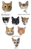 캣맘 까는 레퍼토리로 나오는 롱노즈론의 최대 맹점