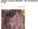 유리 조각 삼킨 손님에게 내가 일부러 넣었냐 고함지른 점주