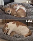 2년 동안 너무 변해버린 친구
