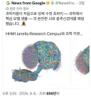 약혐) 최근 뇌 털린 초파리 근황