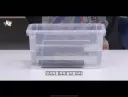 폴드8) 진짜 물에 담가뿠네 ㅋㅋㅋㅋㅋㅋㅋ
