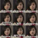공소청 직제와 중수청장의 조합은 대검 중수부 확대