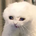 여러분, 텐키리스 쓰면 안됩니다..