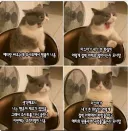 D&D하다가 가끔 발생하는 찐빠