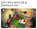엄마의 모동 숲 인테리어