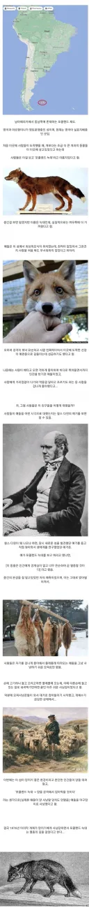 너무 순한 개과 동물인데 멸종된 비운 동물