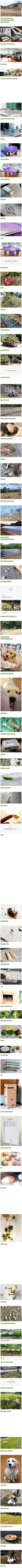 시골의 폐교에서 현실 동물의 숲 플레이 중인 어느 블로거.