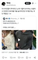 한국의 우수한 치안을 믿고 나대는 해외 유튜버.jpg