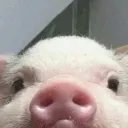 1인분치고 양이 너무 적은거같아요 ㅠㅠ의 하드카운터