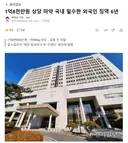 1억8천만원 상당 마약 국내 밀수한 외국인 징역 6년