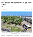 택시서 자다 눈 떠보니 갈대밭 제주 도 넘은 허위정보 확산