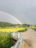 다시 안올 기회였는데 아까운 사진