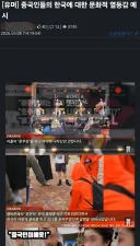 근데 이런 국뽕티비 베글 올리는건 좀 그렇지않나