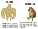 취미로 격투기하는 사람이 나이들면 일어나는 현상