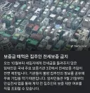보증금 때먹은 집주인, 전세보증 금지
