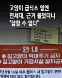 협의끝에 고양이급식소 없애자 캣맘들 반발
