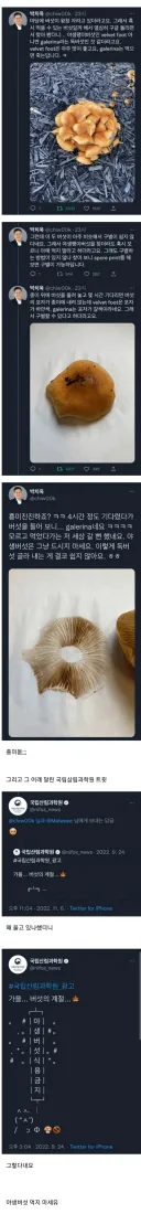 교수님의 독버섯 구분법