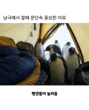 남극에서 잘 때 문단속 중요한 이유