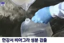 한강서 비아그라 성분 검출