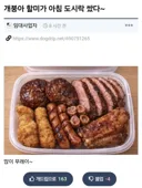 아이구 우리 손주 먹으라고 할미가 도시락 쌌다...