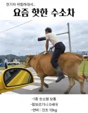 요즘 핫한 수소차.jpg