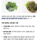 상추 깻잎 고추는 법적으로 음식 재활용이 가능한데