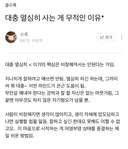 대충 열심히 사는게 무적인 이유