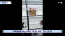 ?? "나 잡고 싶어? 응 여기 외국이야. 잡으러 와보던가"