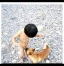누렁아 거기선 우유 안나와