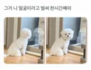 그거 니 얼굴이라고